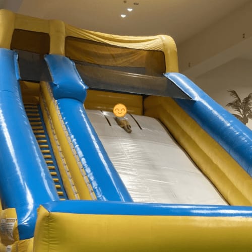 目玉の大型スライダー