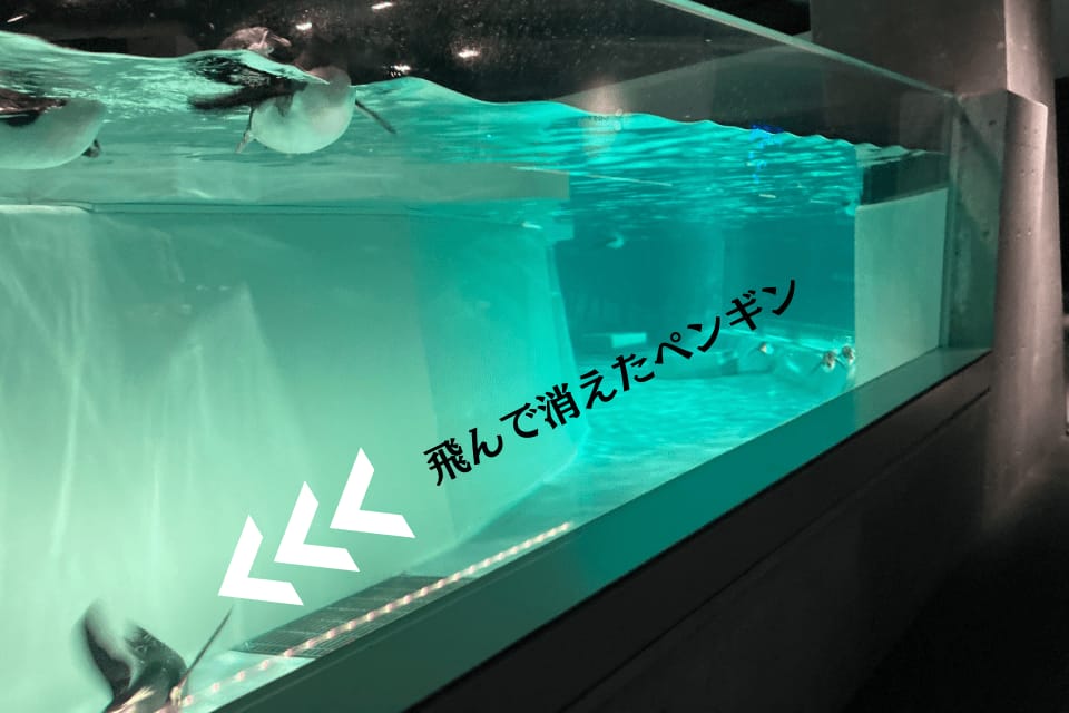 飛んで消えたペンギン